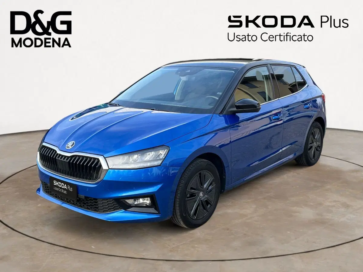 Skoda Fabia usata a Modena