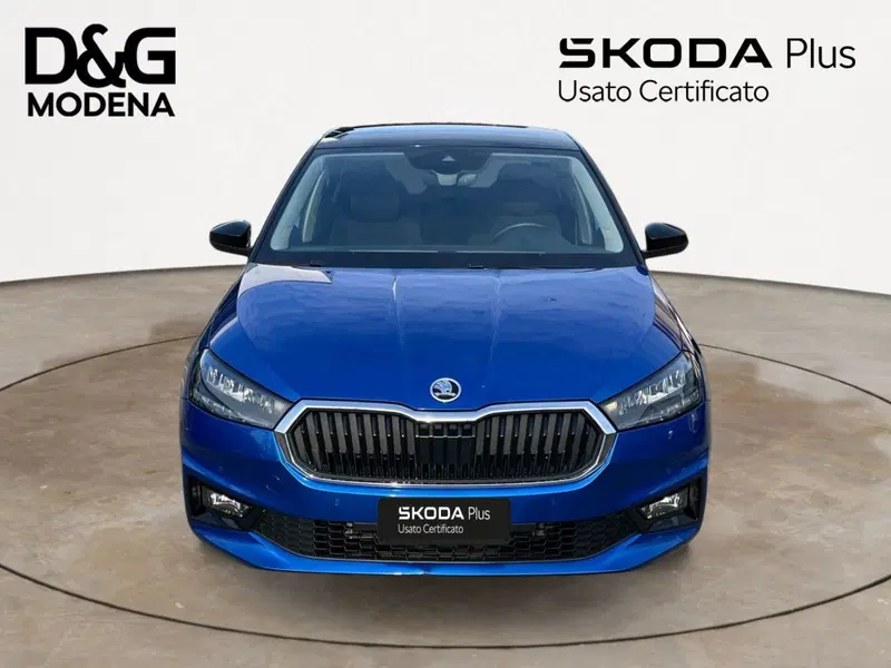Skoda Fabia usata a Modena (2)