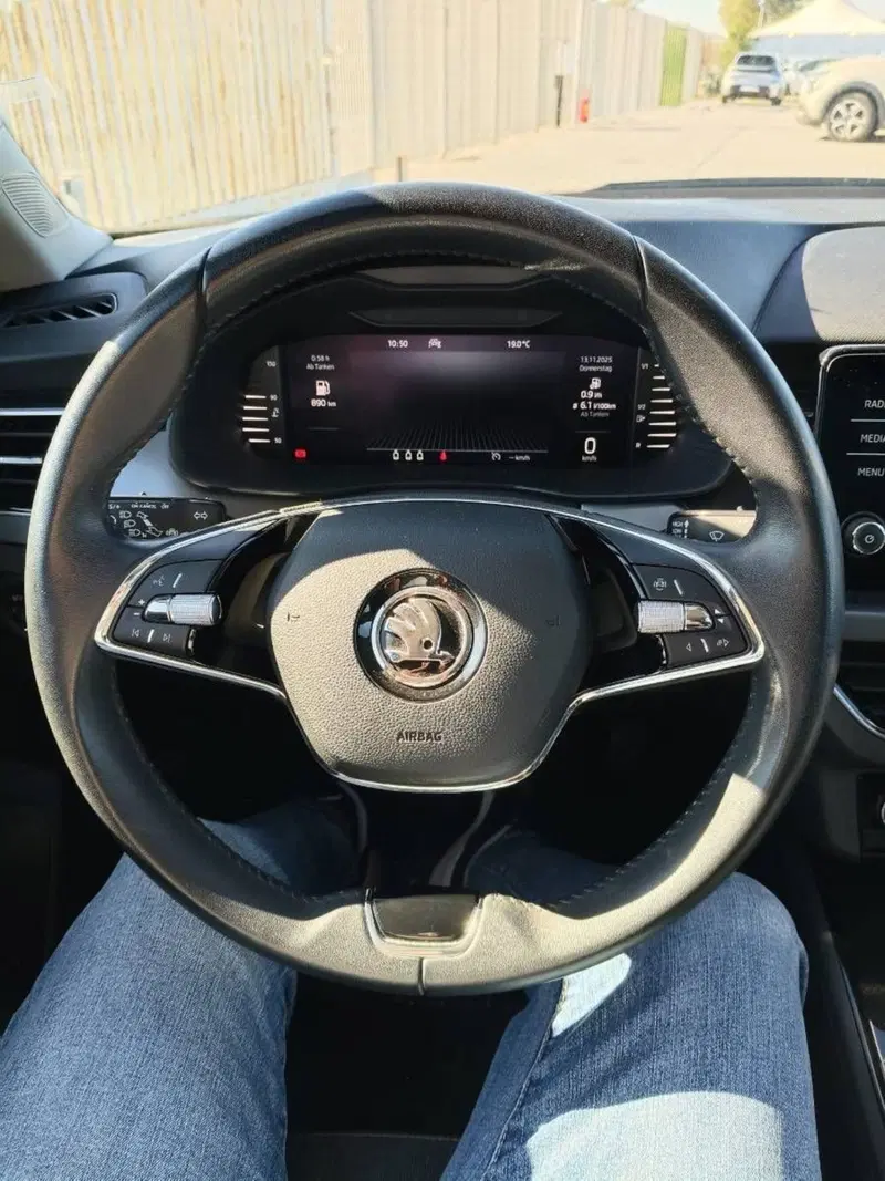 Skoda Kamiq usata a Salerno (12)