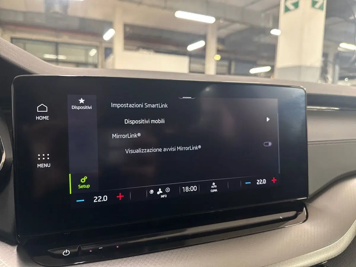 Skoda Octavia Station Wagon usata a Prato (19)