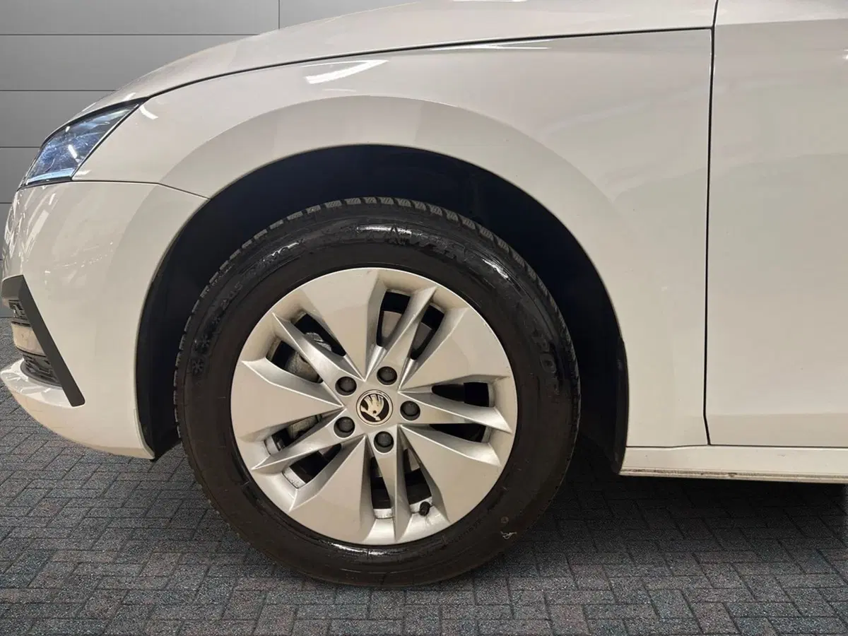 Skoda Octavia Station Wagon usata a Prato (6)