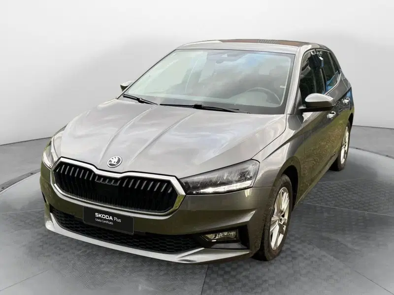 Skoda Fabia usata a Salerno