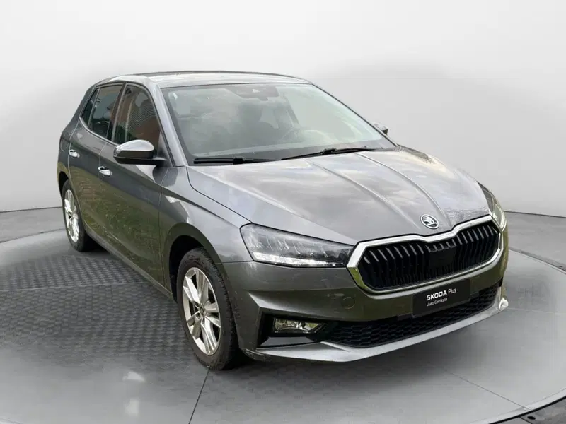Skoda Fabia usata a Salerno (2)