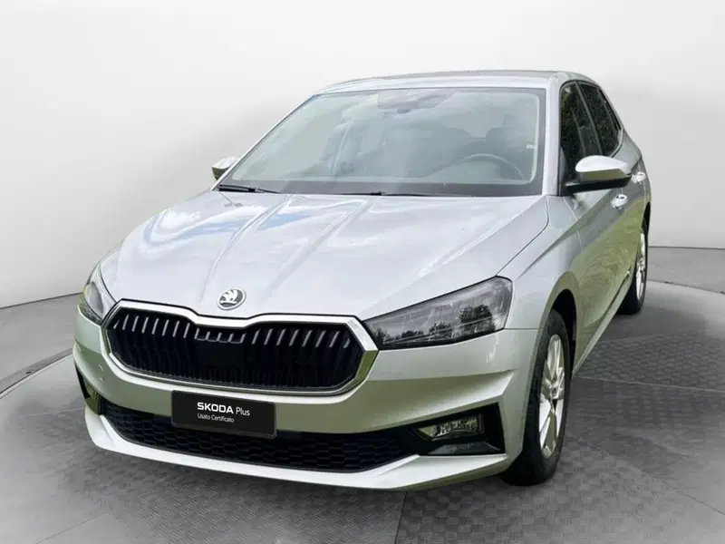 Skoda Fabia usata a Salerno