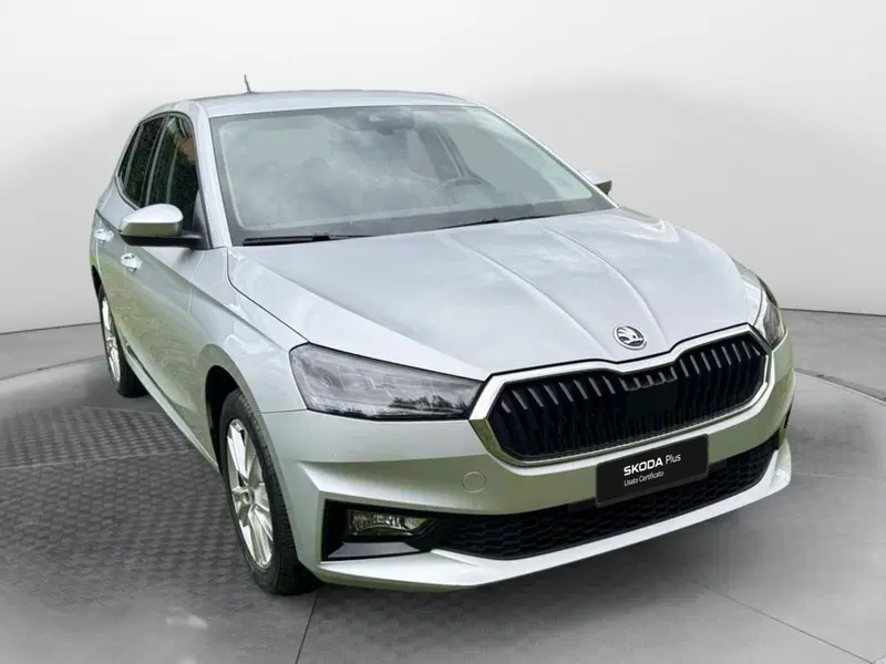Skoda Fabia usata a Salerno (2)