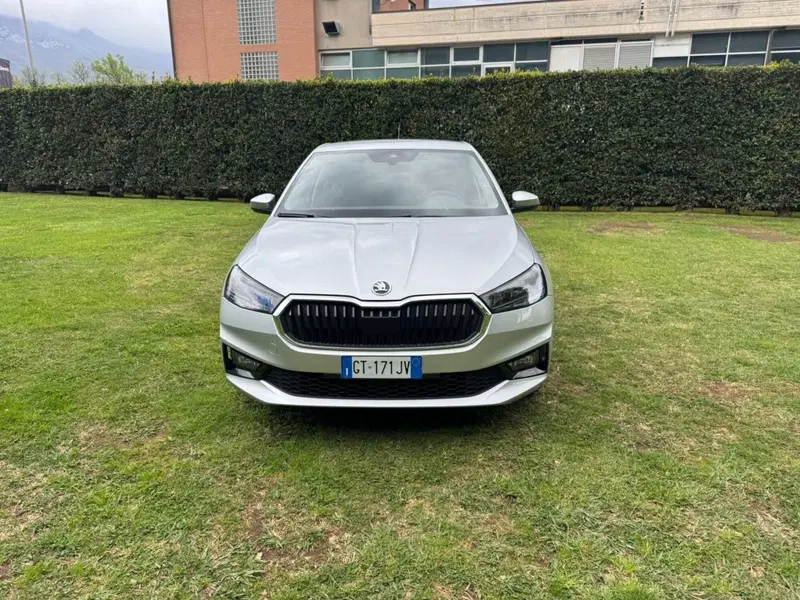 Skoda Fabia usata a Salerno (9)