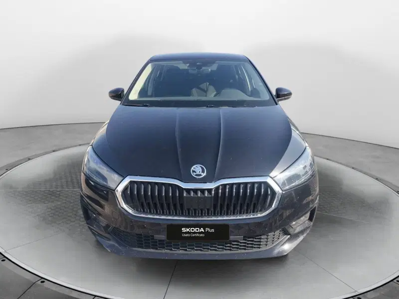 Skoda Fabia usata a Salerno (3)