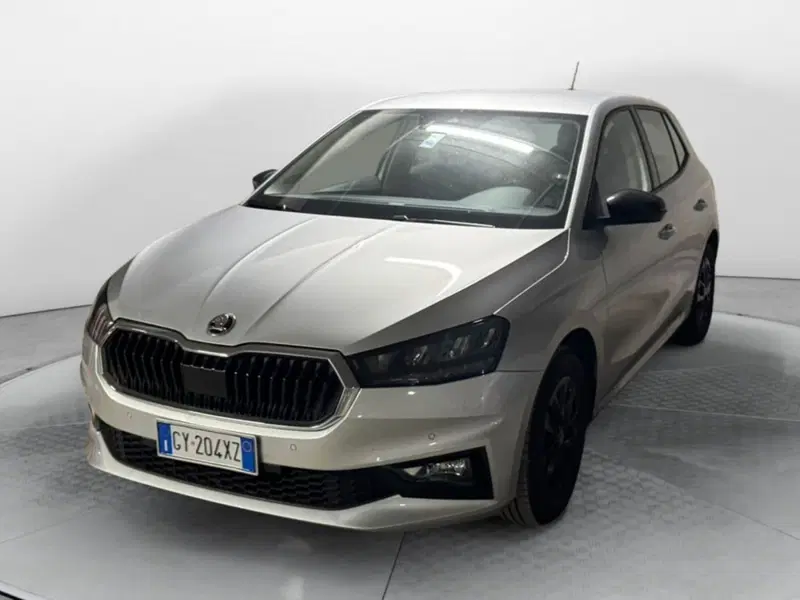 Skoda Fabia usata a Salerno
