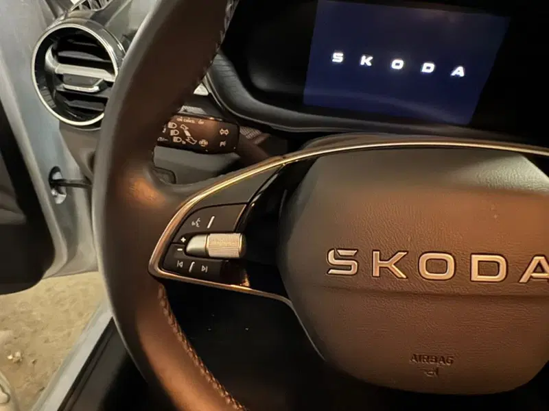 Skoda Fabia usata a Salerno (19)