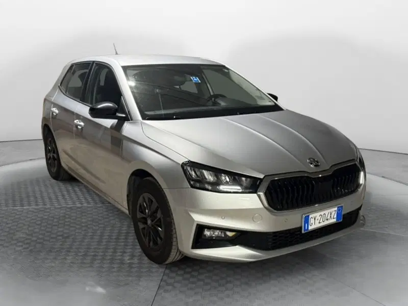 Skoda Fabia usata a Salerno (2)