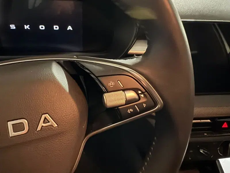 Skoda Fabia usata a Salerno (20)
