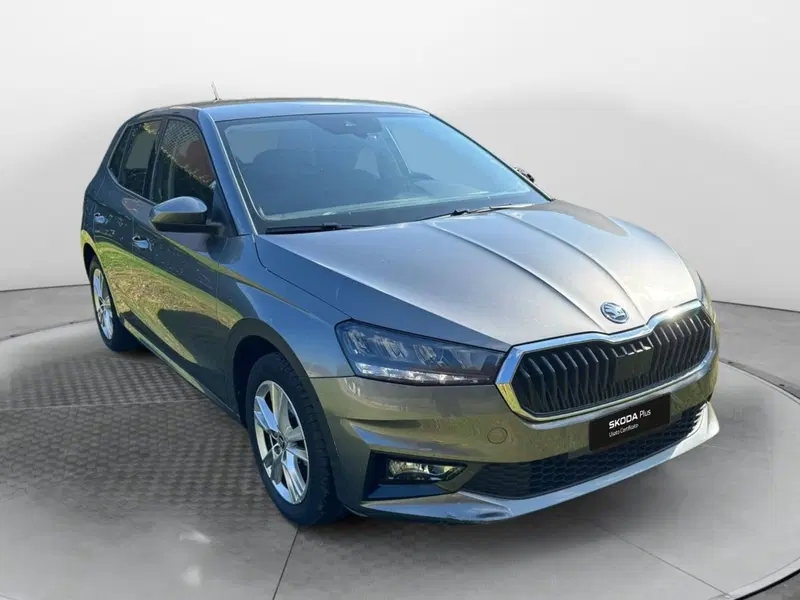 Skoda Fabia usata a Salerno (2)