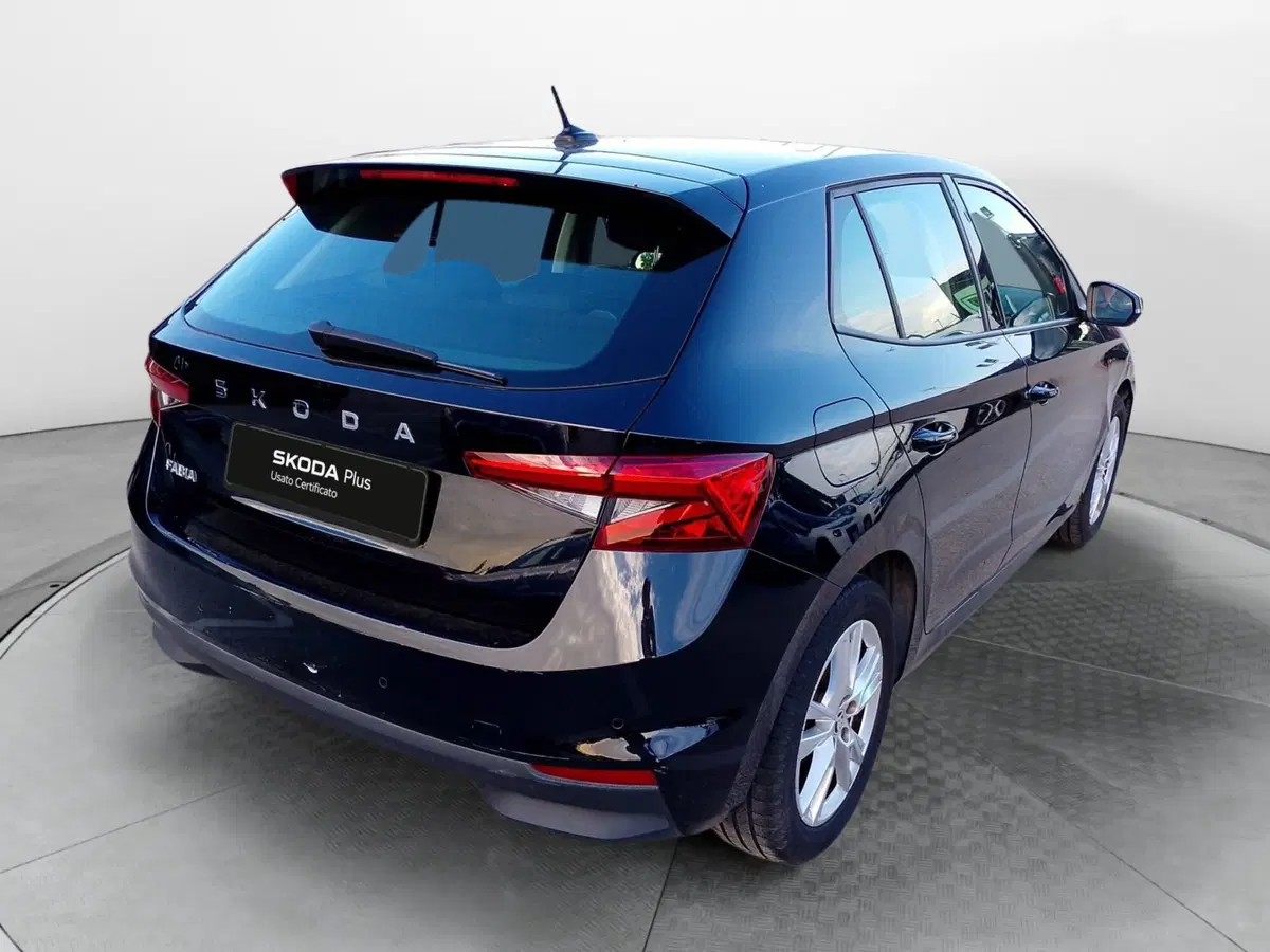 Skoda Fabia usata a Salerno (4)