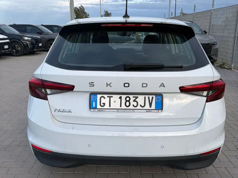 Skoda Fabia usata a Salerno (12)
