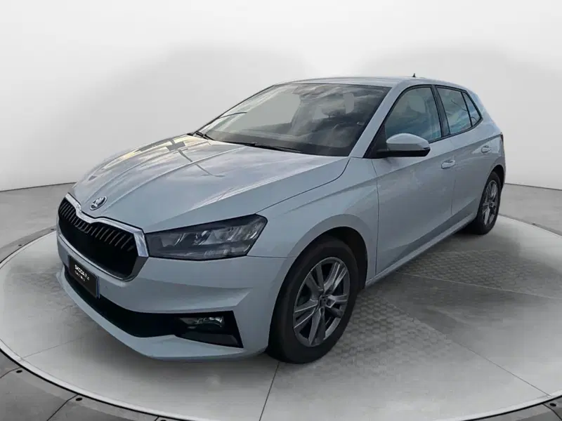 Skoda Fabia usata a Salerno