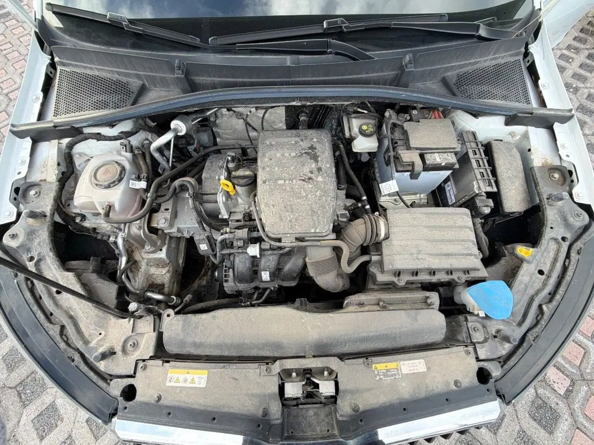 Skoda Fabia usata a Salerno (10)