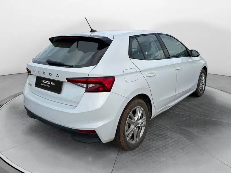 Skoda Fabia usata a Salerno (4)