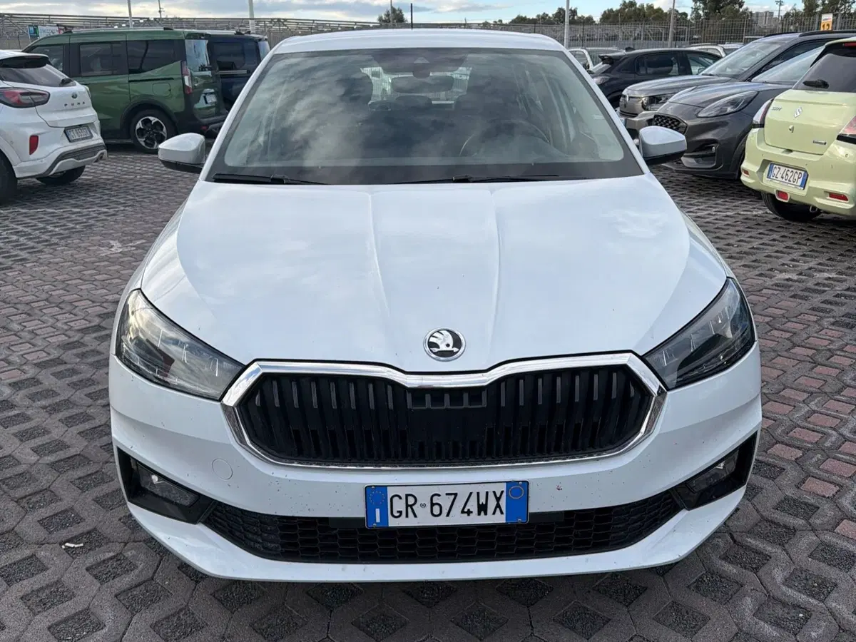 Skoda Fabia usata a Salerno (9)