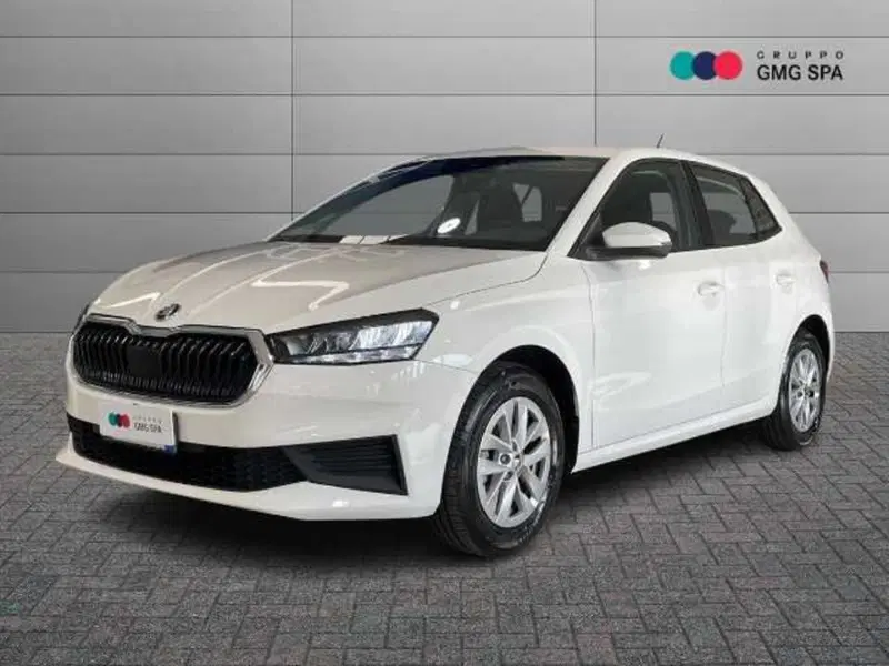Skoda Fabia usata a Pistoia