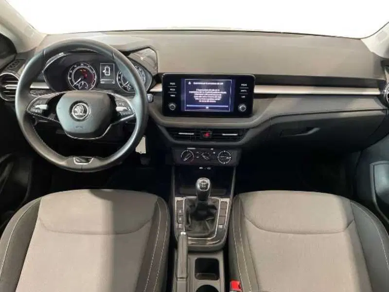 Skoda Fabia usata a Pistoia (11)