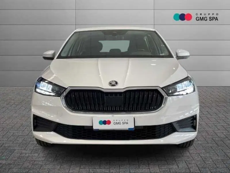 Skoda Fabia usata a Pistoia (2)