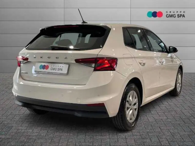 Skoda Fabia usata a Pistoia (3)