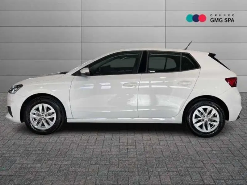Skoda Fabia usata a Pistoia (5)