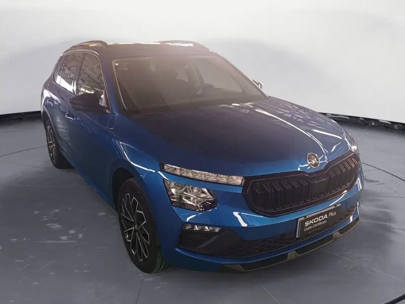 Skoda Kamiq usata a Reggio Calabria (3)