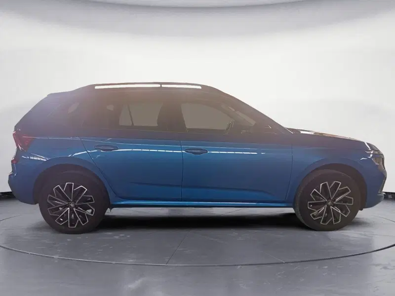 Skoda Kamiq usata a Reggio Calabria (4)