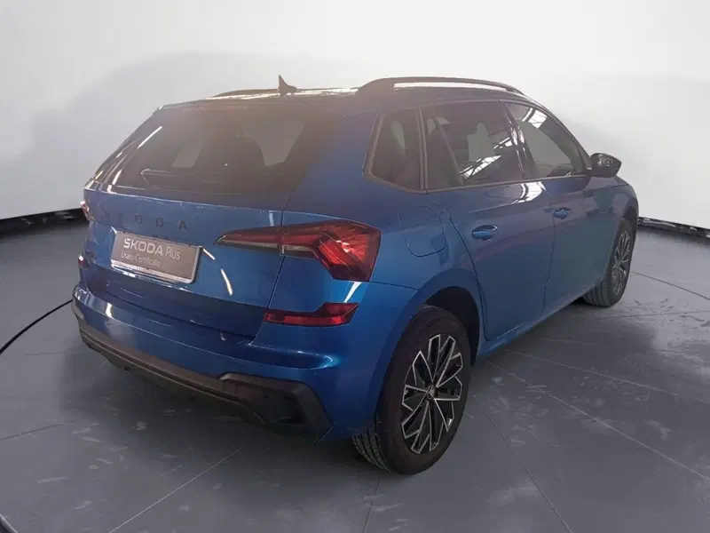 Skoda Kamiq usata a Reggio Calabria (5)