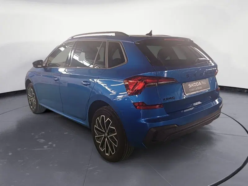 Skoda Kamiq usata a Reggio Calabria (7)