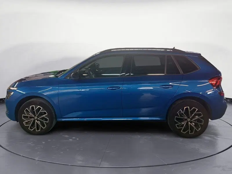Skoda Kamiq usata a Reggio Calabria (8)