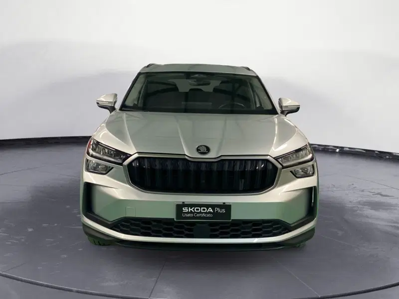 Skoda Kodiaq usata a Catanzaro (2)
