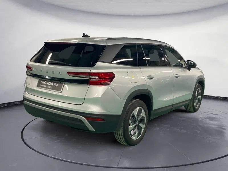 Skoda Kodiaq usata a Catanzaro (5)