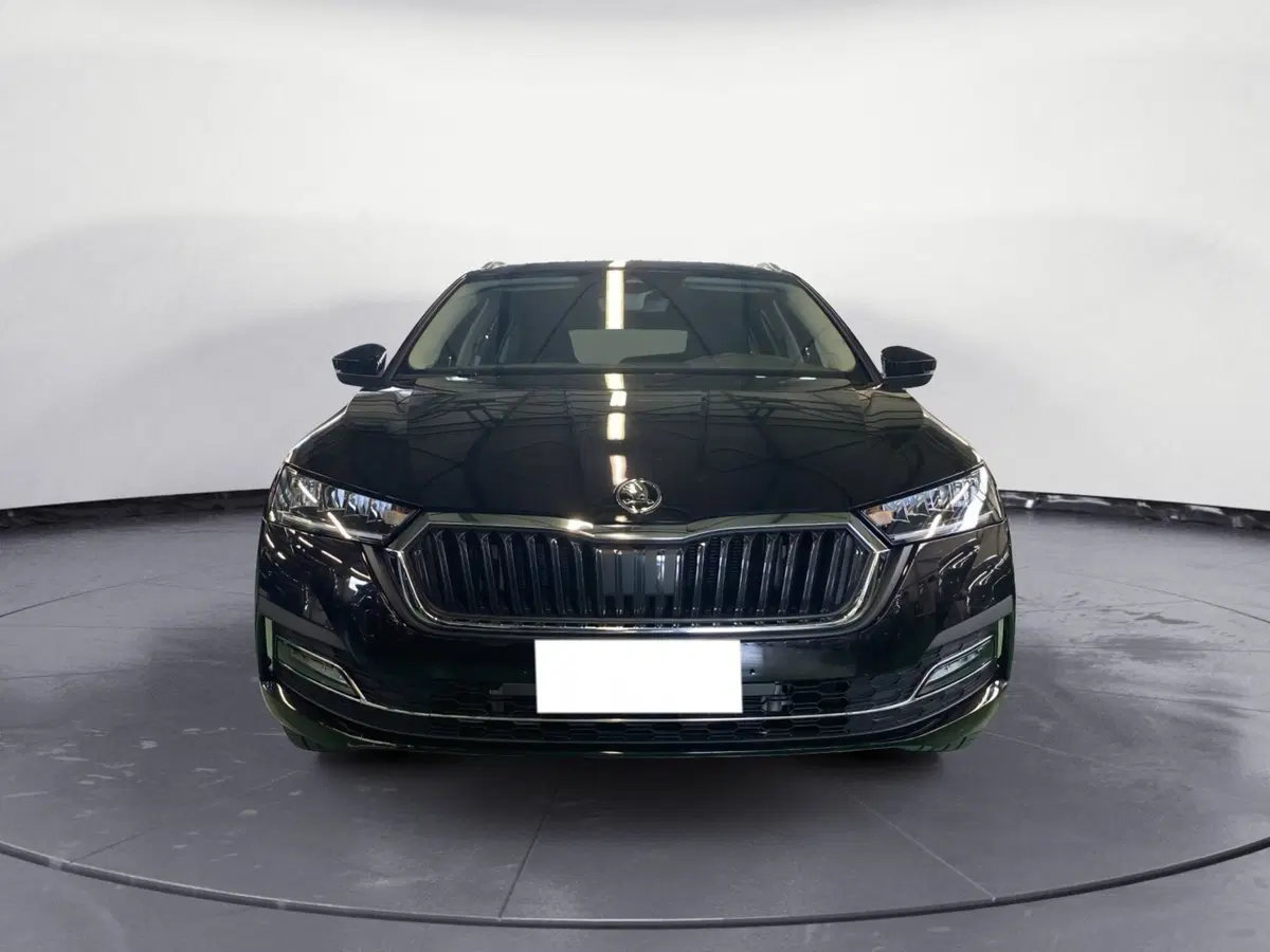 Skoda Octavia Station Wagon usata a Reggio Calabria (3)
