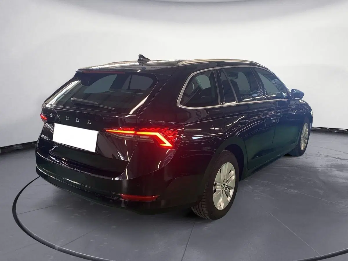 Skoda Octavia Station Wagon usata a Reggio Calabria (4)