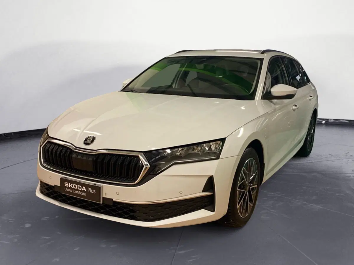 Skoda Octavia Station Wagon usata a Catanzaro
