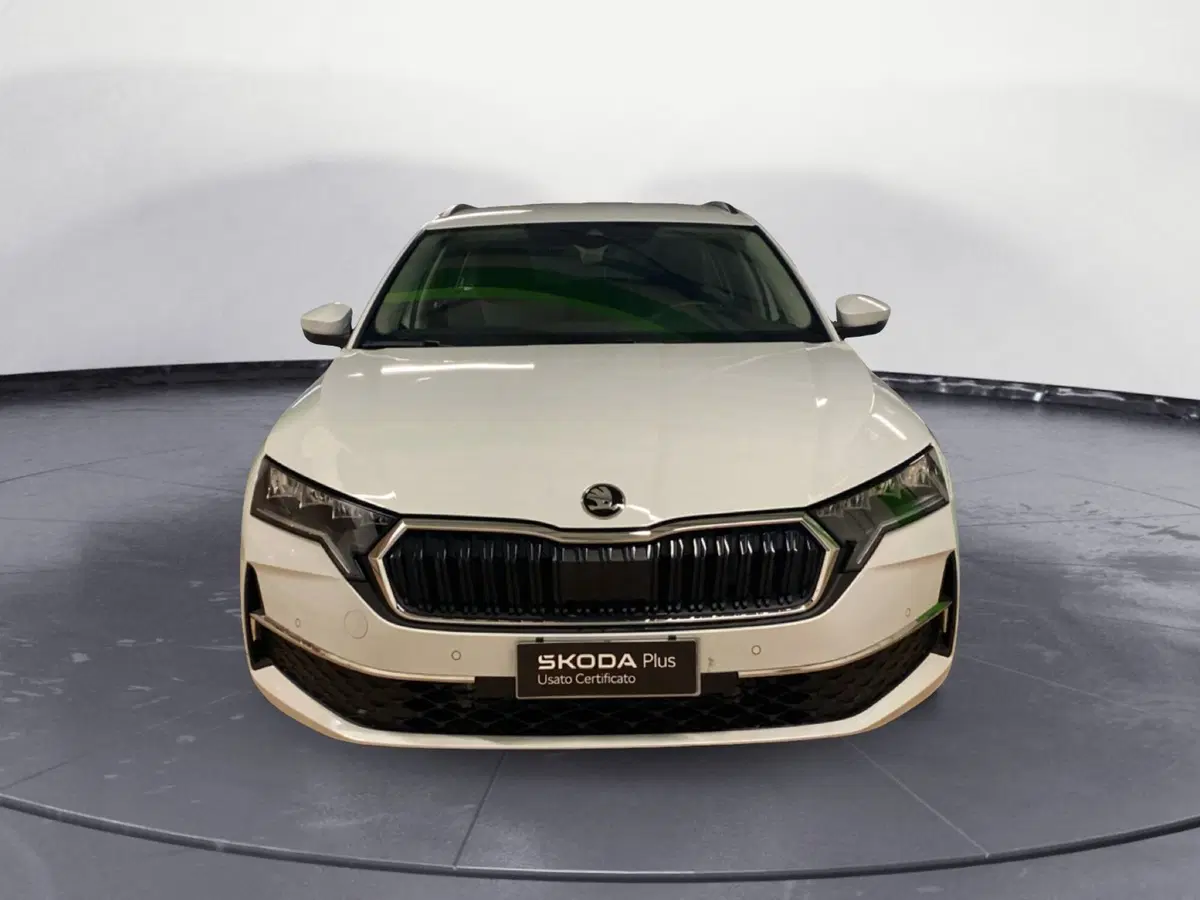 Skoda Octavia Station Wagon usata a Catanzaro (2)