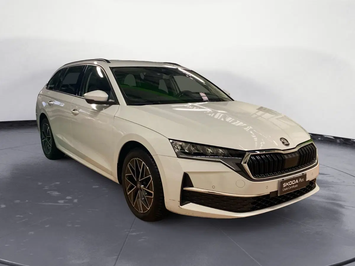 Skoda Octavia Station Wagon usata a Catanzaro (3)