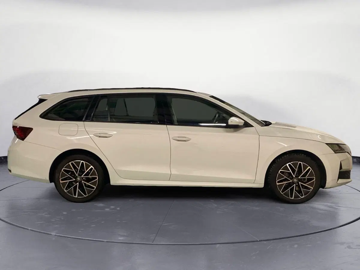 Skoda Octavia Station Wagon usata a Catanzaro (4)