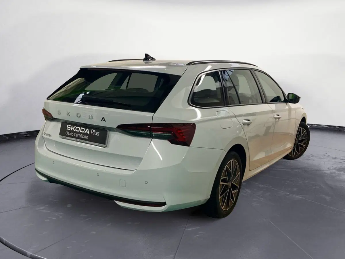 Skoda Octavia Station Wagon usata a Catanzaro (5)