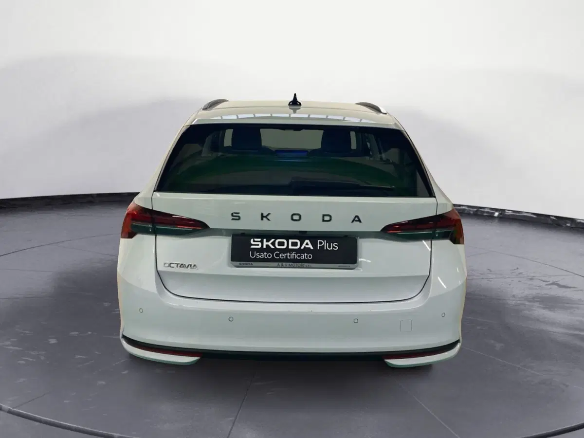 Skoda Octavia Station Wagon usata a Catanzaro (6)