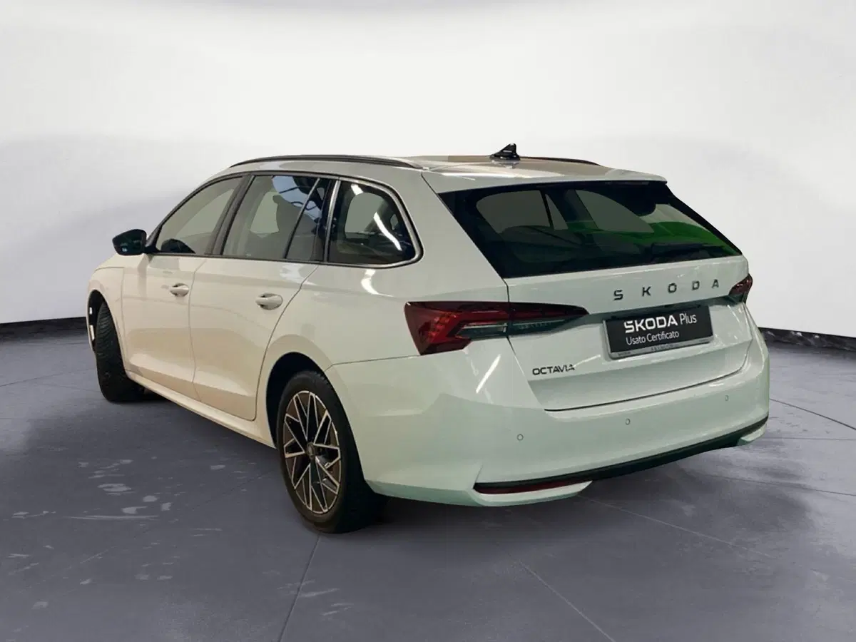Skoda Octavia Station Wagon usata a Catanzaro (7)