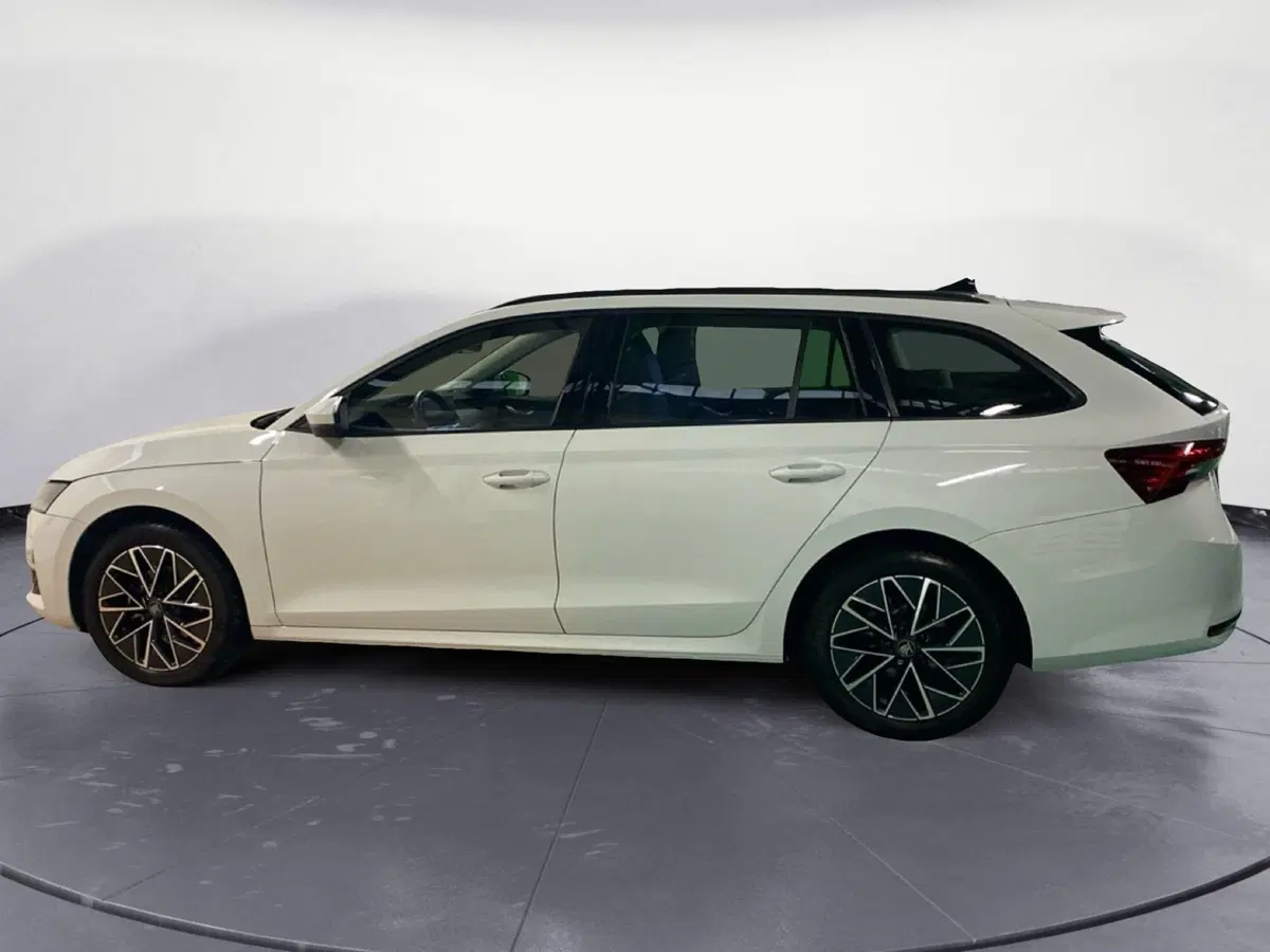 Skoda Octavia Station Wagon usata a Catanzaro (8)