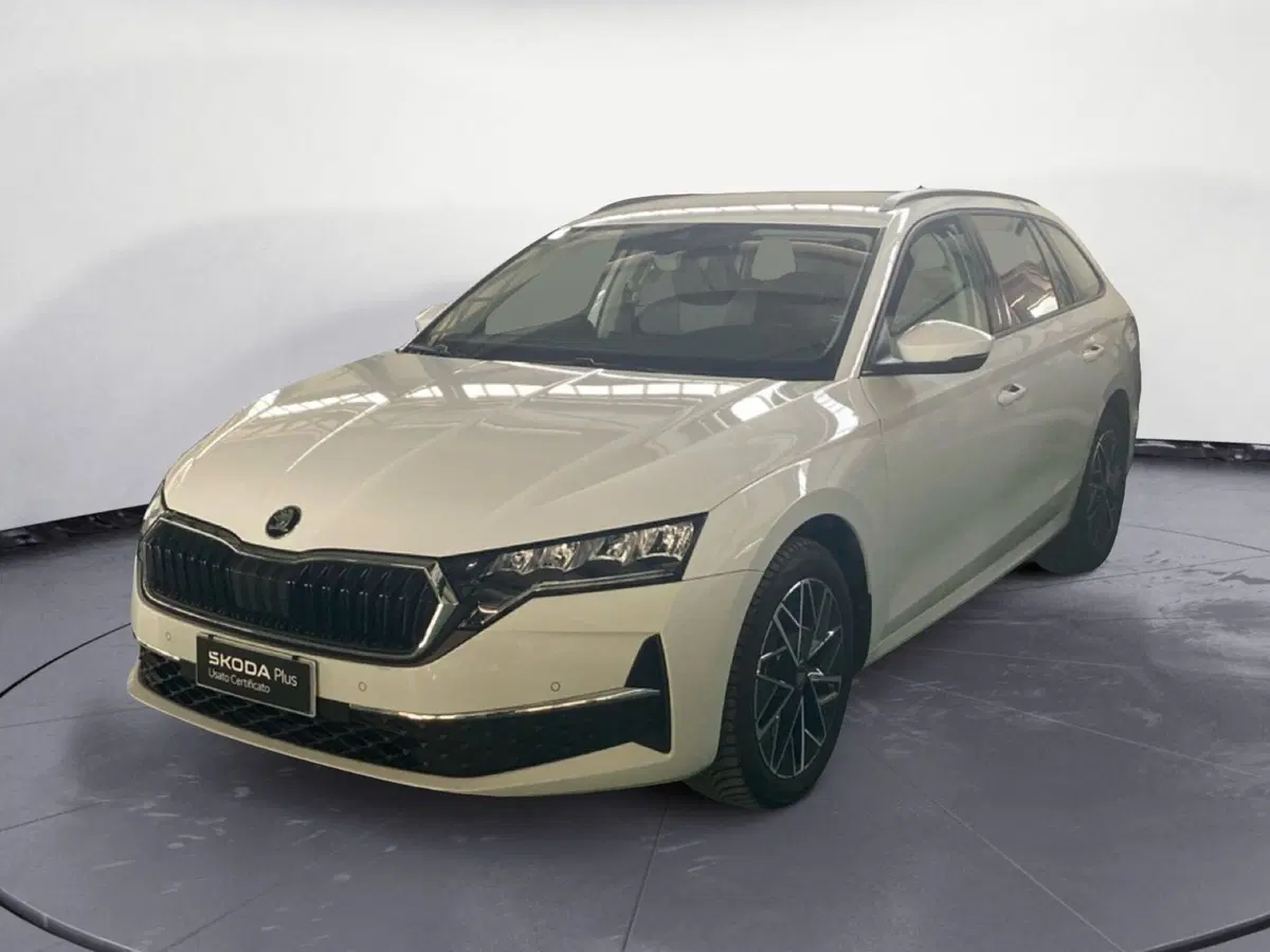 Skoda Octavia Station Wagon usata a Reggio Calabria