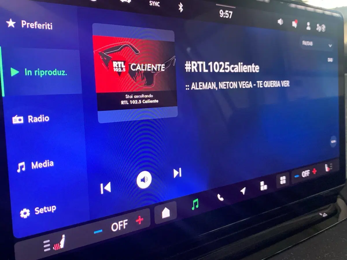Skoda Octavia Station Wagon usata a Reggio Calabria (12)