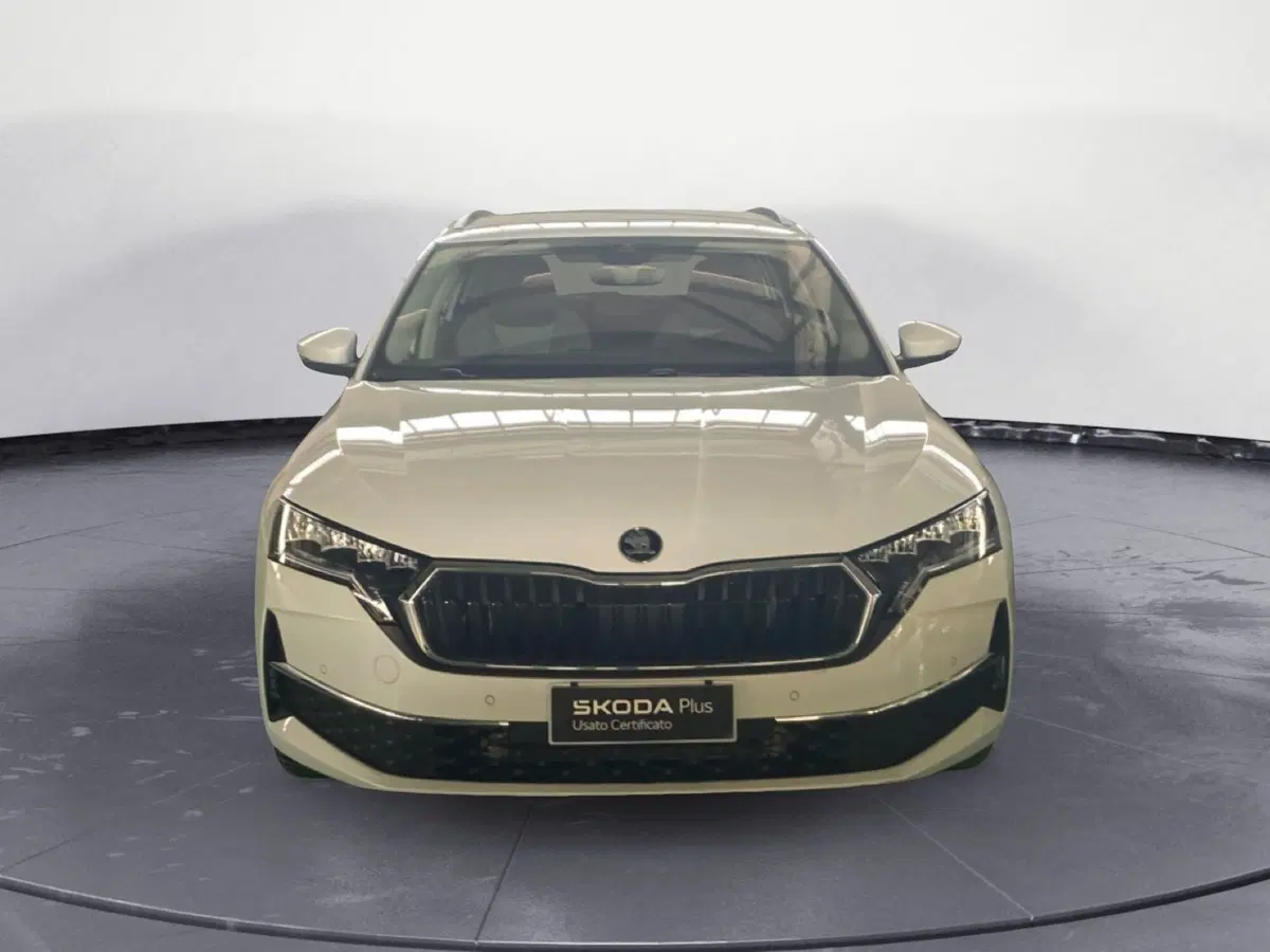 Skoda Octavia Station Wagon usata a Reggio Calabria (2)