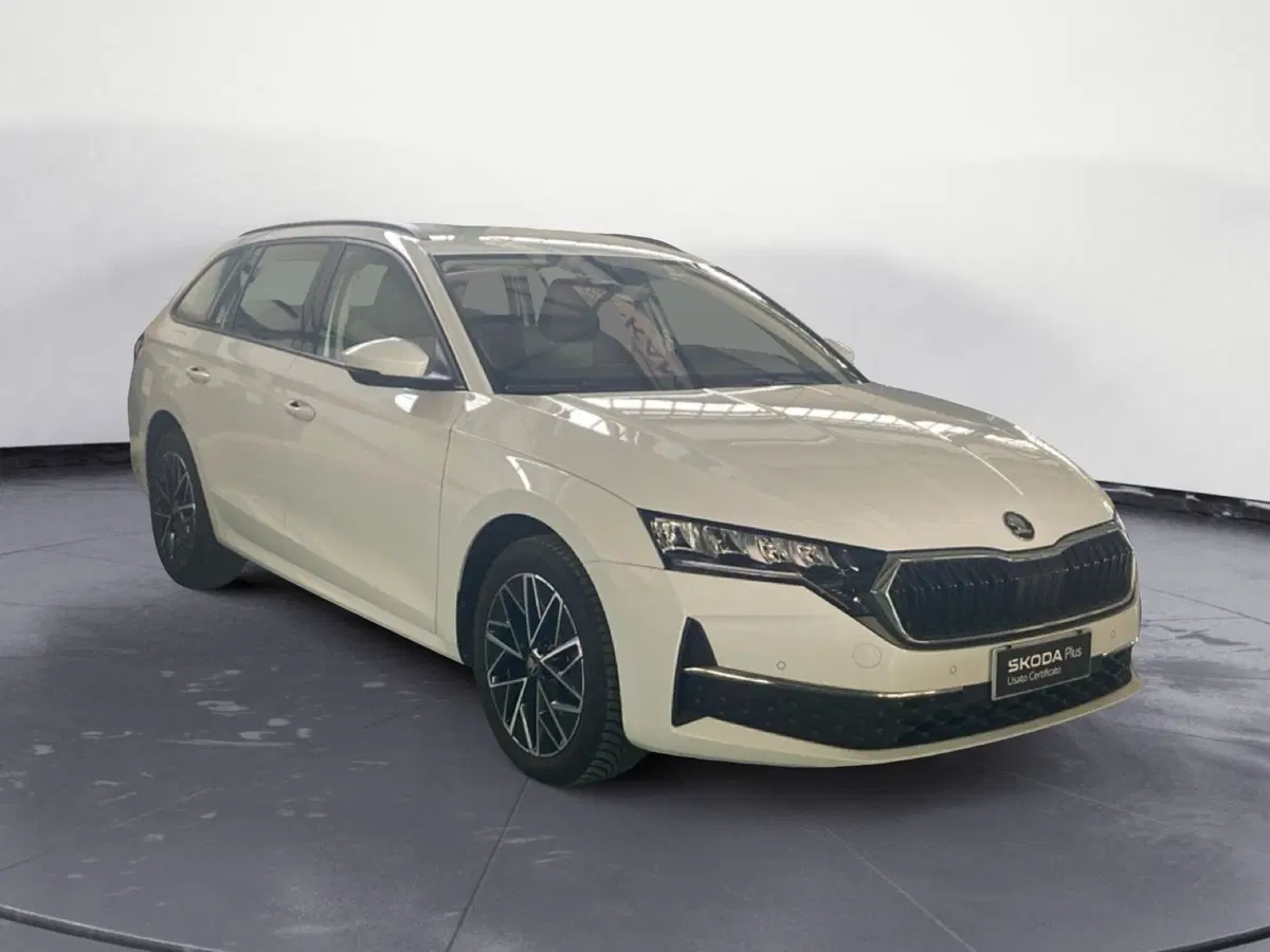 Skoda Octavia Station Wagon usata a Reggio Calabria (3)