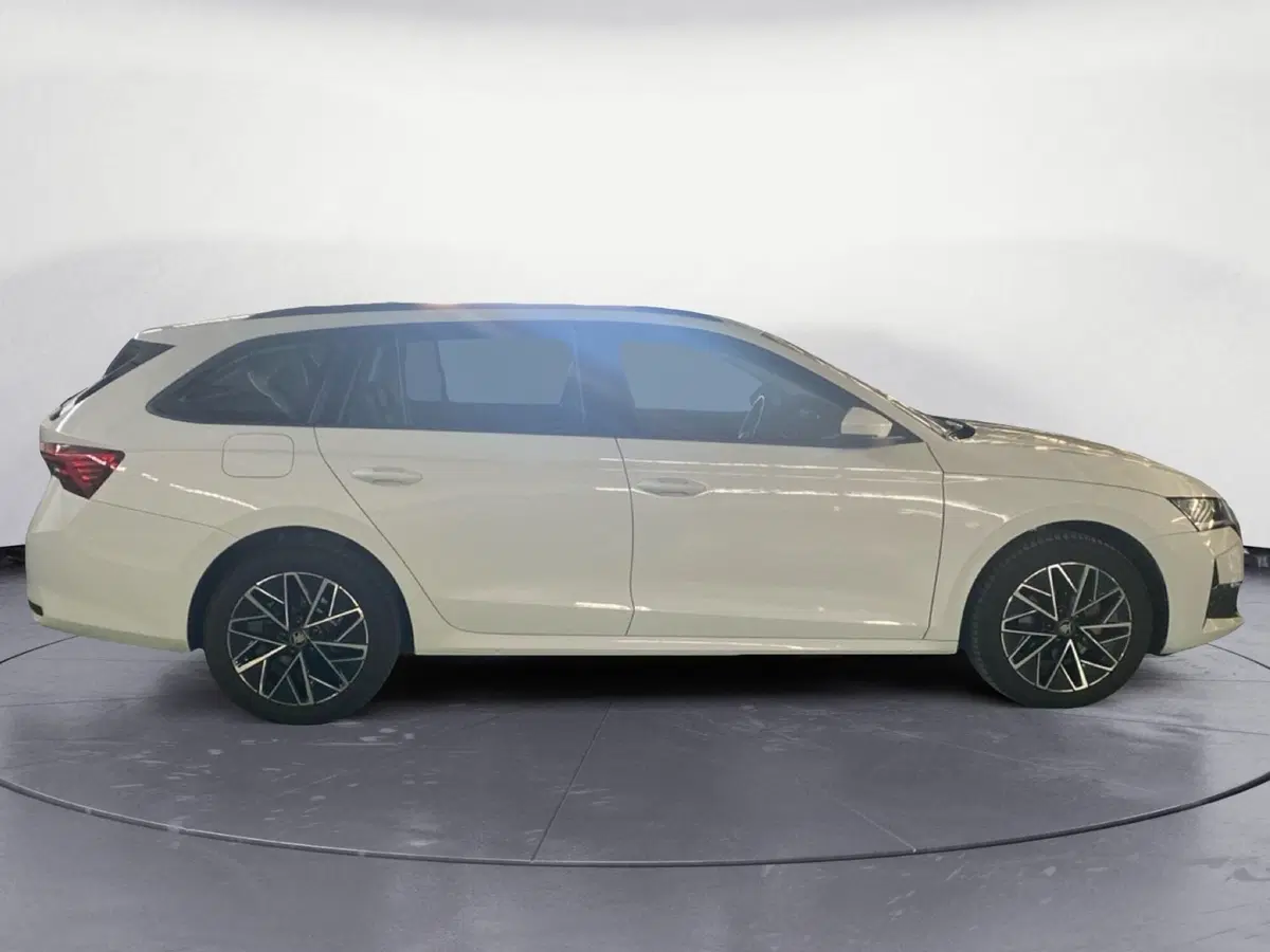 Skoda Octavia Station Wagon usata a Reggio Calabria (4)