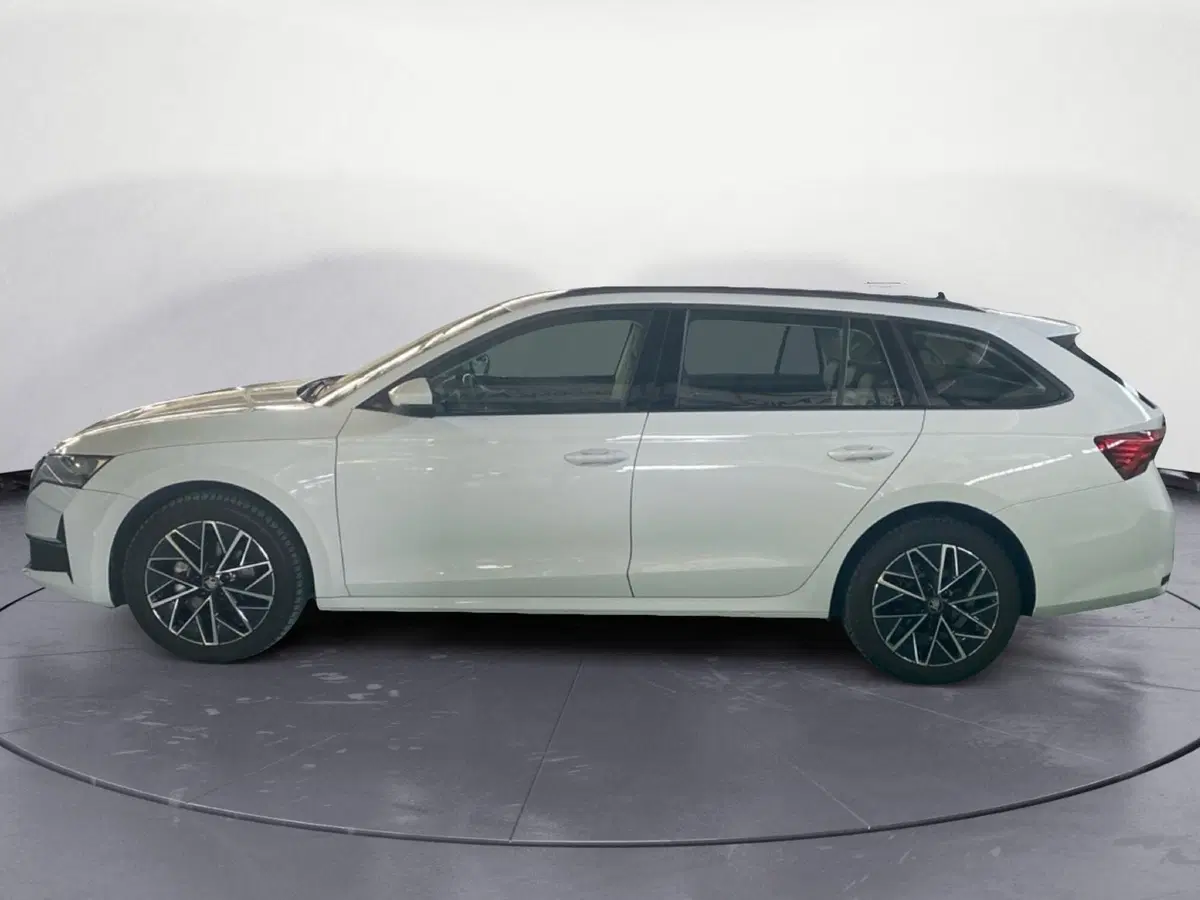 Skoda Octavia Station Wagon usata a Reggio Calabria (7)